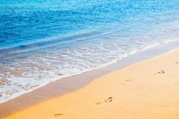 Beautiful Nature Summer Beach Background