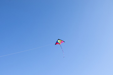 Fototapeta na wymiar kite in the blue sky
