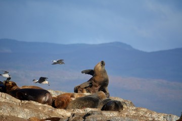 HUSUAIA(patagonia/Argentina)