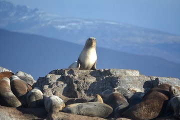 HUSUAIA(patagonia/Argentina)