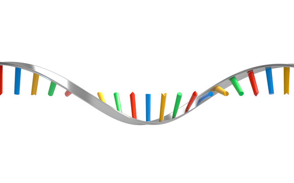 DNA molecules, structure of the genetic code, 3d rendering,conceptual image.