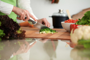 Unknown human hands cooking in kitchen. Woman slicing green onion. Healthy meal, and vegetarian food concept