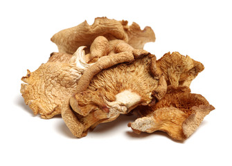 Dry mushrooms on white background