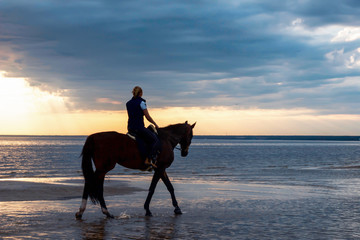 girl equestrian is riding a horse on the beach at sunset