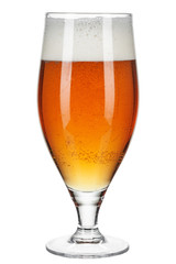 Glass of beer isolated on a white background