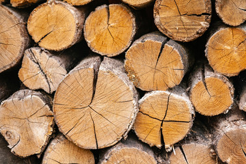 Naklejka premium Dry oak firewood stacked in a pile, not chopped whole wood for winter heating fireplace. Natural wood background.