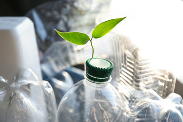 Different garbage and green plant. Concept of recycling