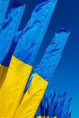 Ukrainian flags hover and tremble in the wind against a blue sky. Blue-yellow cloth panels adorn...