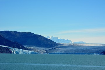 Obraz premium EL CALAFATE(Rios de Hielo/Patagonia/Argentina)