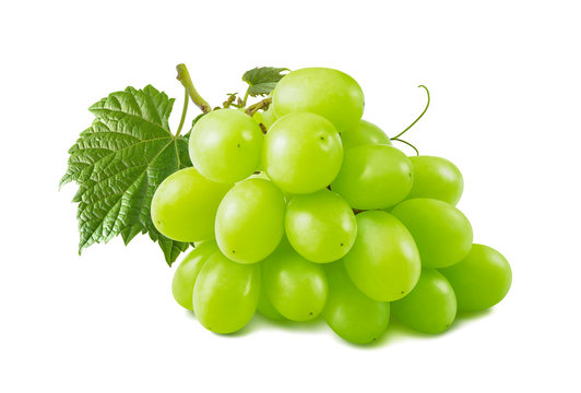 Single green grapes bunch isolated on white background