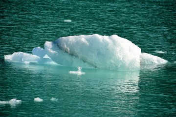 EL CALAFATE(Rios de Hielo/Patagonia/Argentina)