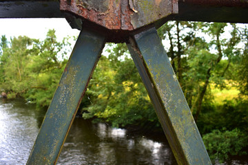 abandoned bridge in forest