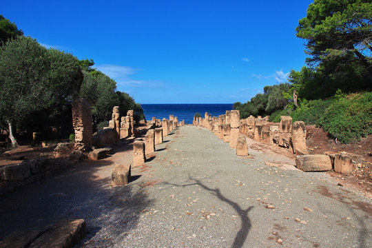 Tipaza, Algeria, Ancient Rome, Africa
