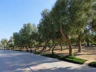 Al Mamzar beach in the city of Dubai. United Arab Emirates, Middle East