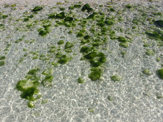 Al Mamzar beach in the city of Dubai. United Arab Emirates, Middle East