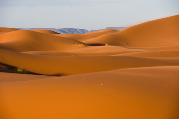 Fototapeta na wymiar Sahara, Wüste, Marokko