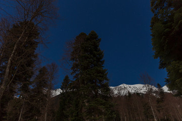 Moon night in the mountains
