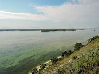 An aerial view of the river. Green algae on the surface of the water. blooming water as a consequence of the dam structure and environmental pollution