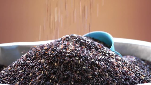 The Rice berry fall