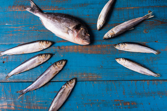 Fish pattern. Herring fish and seabass fih on an old blue wooden background.