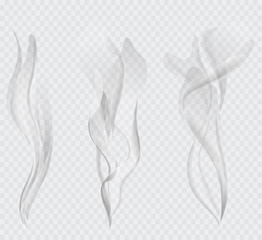 Vector set of transparent cigarette smoke on light background