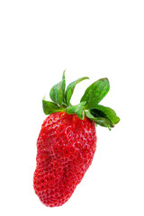 One Strawberry White Background. Representing Organic Products And Natural