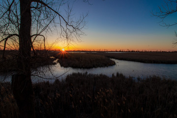 sunset over wetland