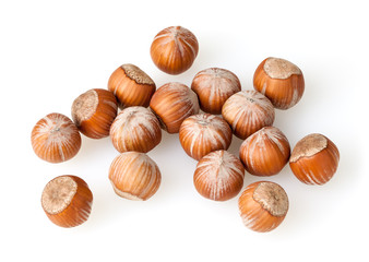 Hazelnuts isolated on white background