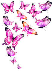 Obraz na płótnie Canvas beautiful pink butterflies, isolated on a white