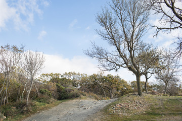 Small Utrish, Caucasus,  Russia