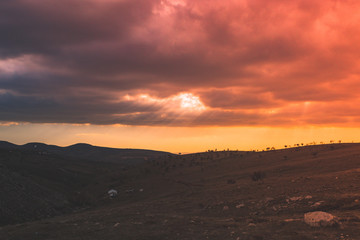sky cloud tree nature