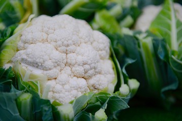 fresh cauliflower