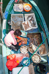 Preparing raw fish in a boat