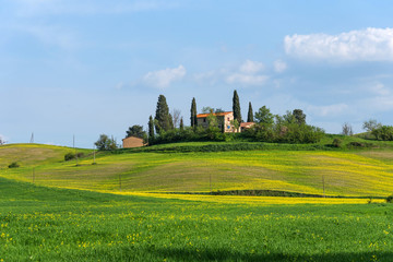 Fototapeta na wymiar Beautiful farmland rural landscape, cypress trees and colorful spring flowers in Tuscany, Italy. Typical rural house.