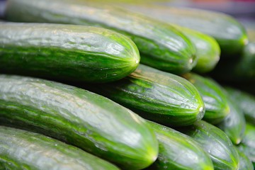 fresh cucumbers for sale at farmers market