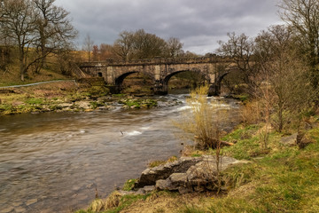 Fototapeta na wymiar Strid Wood, one of the largest remnants of sessile oak trees in the Yorkshire Dales hugs the banks of the river Wharfe and invites visitors to walk its shaded paths. 