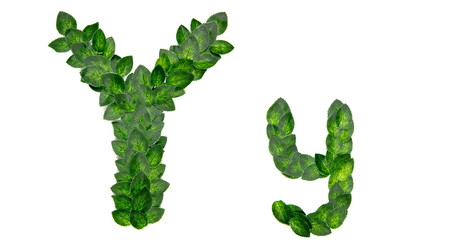 Letter Y, English alphabet, made of green spring leaves. Isolated on white background. Concept: design, logo, word, text, title