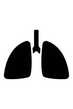 Lungs Icon Vector