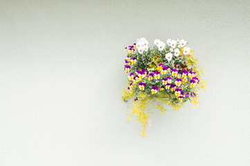 壁掛けの花