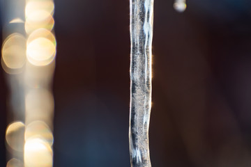 Beautiful, transparent and clean icicles at the sunset of the winter sun. Slippery, cold and smooth patterns of nature. Natural phenomenon.