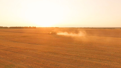 Fototapeta na wymiar Combine harvester in the distance. Field during sunrise.