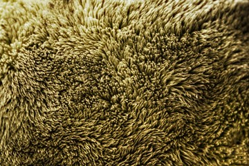Fur texture background