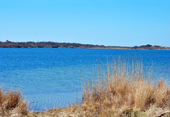 Block Island Beach, Rhode Island, USA 