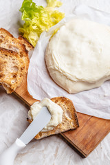 Italian spreadable cheese called stracchino served with slices of toasted bread 