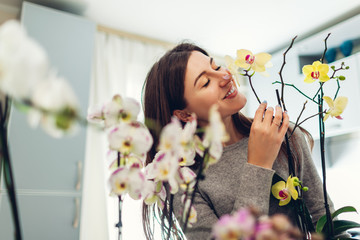 Woman smelling her orchids on kitchen. Housewife taking care of home plants and flowers.