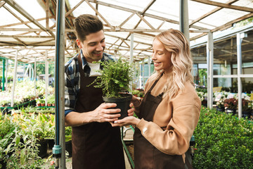 Happy young two colleagues gardeners at the workspace over plants