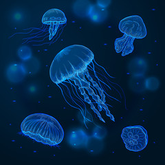 Hand drawn sketch isolated jellyfish, marine animals