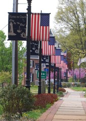 american flags along a street