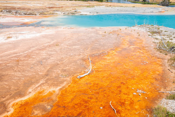 Scenic Yellowstone National Park in Wyoming, Montana and Idaho, USA