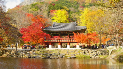 autumn in the forbidden city